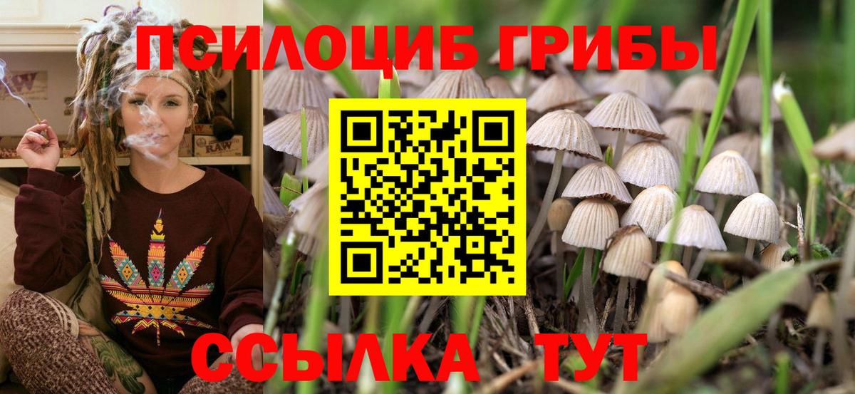 Галлюциногенные грибы GOLDEN TEACHER Белгород