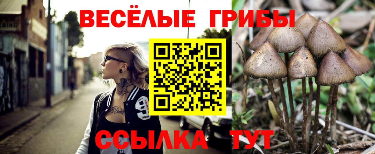 Белгород  Галлюциногенные грибы ЛСД  Вход с VPN 